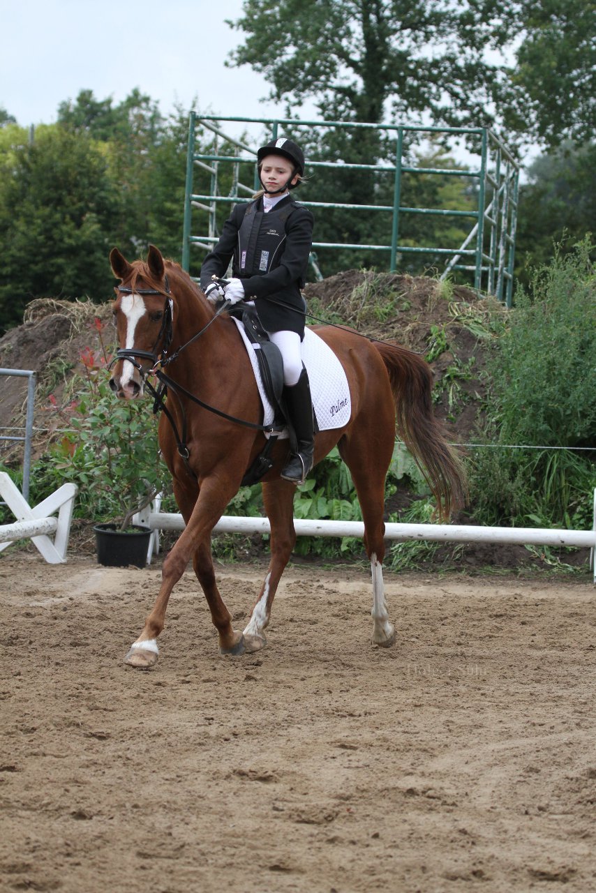 Bild 986 - WBO-Turnier am 18.9.11